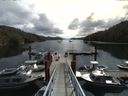 ./images/calvert/dock/20140807/dock20140807_110003.jpg