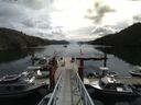 ./images/calvert/dock/20140807/dock20140807_113004.jpg