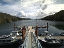 ./images/calvert/dock/20140807/dock20140807_125502.jpg