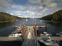 ./images/calvert/dock/20140807/dock20140807_164502.jpg