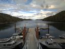 ./images/calvert/dock/20140807/dock20140807_172004.jpg