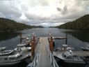 ./images/calvert/dock/20140807/dock20140807_185002.jpg