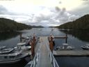 ./images/calvert/dock/20140807/dock20140807_193004.jpg