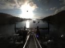 ./images/calvert/dock/20140808/dock20140808_072004.jpg