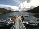 ./images/calvert/dock/20140808/dock20140808_125004.jpg