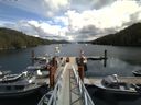 ./images/calvert/dock/20140808/dock20140808_130504.jpg