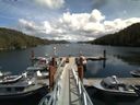 ./images/calvert/dock/20140808/dock20140808_133503.jpg