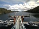 ./images/calvert/dock/20140808/dock20140808_134501.jpg