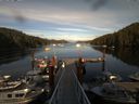 ./images/calvert/dock/20140808/dock20140808_185003.jpg
