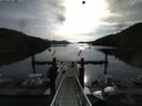 ./images/calvert/dock/20140809/dock20140809_084504.jpg