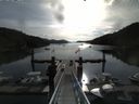 ./images/calvert/dock/20140809/dock20140809_085504.jpg