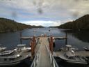 ./images/calvert/dock/20140809/dock20140809_152502.jpg