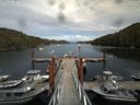 ./images/calvert/dock/20140809/dock20140809_154501.jpg