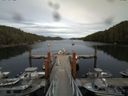 ./images/calvert/dock/20140809/dock20140809_173502.jpg