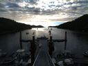 ./images/calvert/dock/20140810/dock20140810_071004.jpg