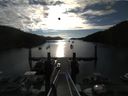 ./images/calvert/dock/20140810/dock20140810_074004.jpg