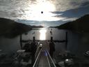 ./images/calvert/dock/20140810/dock20140810_074502.jpg