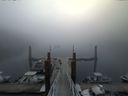 ./images/calvert/dock/20140811/dock20140811_082501.jpg