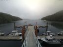 ./images/calvert/dock/20140811/dock20140811_165002.jpg