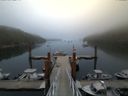 ./images/calvert/dock/20140811/dock20140811_201502.jpg