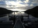 ./images/calvert/dock/20140814/dock20140814_071002.jpg