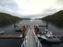 ./images/calvert/dock/20140815/dock20140815_145504.jpg