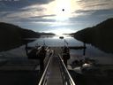 ./images/calvert/dock/20140817/dock20140817_082004.jpg