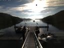 ./images/calvert/dock/20140817/dock20140817_082504.jpg