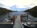 ./images/calvert/dock/20140820/dock20140820_145004.jpg