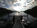 ./images/calvert/dock/20140821/dock20140821_083501.jpg