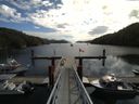 ./images/calvert/dock/20140821/dock20140821_112003.jpg