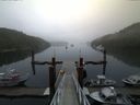./images/calvert/dock/20140826/dock20140826_062003.jpg