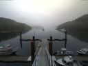./images/calvert/dock/20140826/dock20140826_071001.jpg