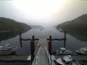 ./images/calvert/dock/20140826/dock20140826_073502.jpg