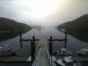 ./images/calvert/dock/20140826/dock20140826_075001.jpg