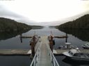 ./images/calvert/dock/20140904/dock20140904_094504.jpg