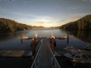 ./images/calvert/dock/20140904/dock20140904_182504.jpg