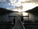 ./images/calvert/dock/20140919/dock20140919_080004.jpg