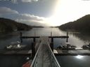 ./images/calvert/dock/20140919/dock20140919_095001.jpg