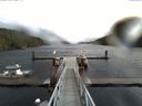 ./images/calvert/dock/20141018/dock20141018_114504.jpg