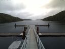 ./images/calvert/dock/20141106/dock20141106_115004.jpg