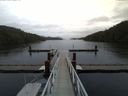 ./images/calvert/dock/20141106/dock20141106_124504.jpg