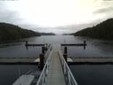 ./images/calvert/dock/20141106/dock20141106_125001.jpg