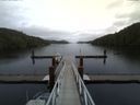 ./images/calvert/dock/20141106/dock20141106_135504.jpg