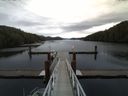 ./images/calvert/dock/20141118/dock20141118_113002.jpg