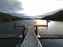 ./images/calvert/dock/20141120/dock20141120_081504.jpg