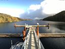 ./images/calvert/dock/20141123/dock20141123_133501.jpg