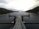 ./images/calvert/dock/20141124/dock20141124_105503.jpg