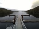 ./images/calvert/dock/20141124/dock20141124_142502.jpg