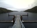 ./images/calvert/dock/20141126/dock20141126_125004.jpg